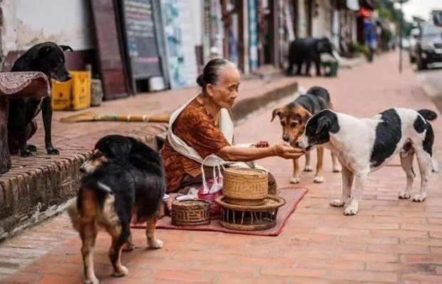 16 วิธีทำบุญ ทำทานโดยไม่ต้องไปวัด..