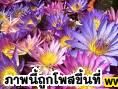 สูตรปรุงของชีวิต