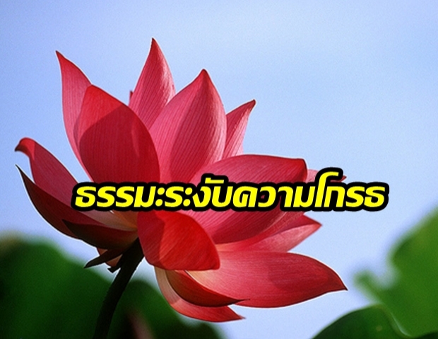 ธรรมะระงับความโกรธ