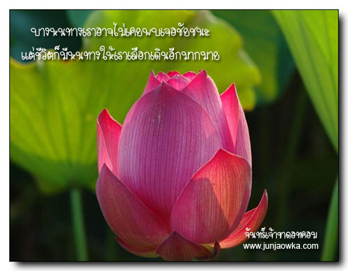 สัจจธรรม