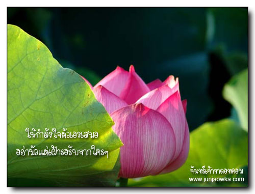 สัจจธรรม