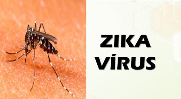 10 สิ่งควรรู้เกี่ยวกับไวรัสซิกา