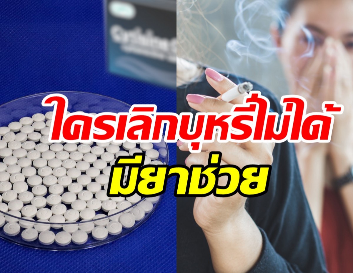 รู้จักยาเลิกบุหรี่ที่ไทยทำสำเร็จ เตรียมผลิตจำหน่ายปีหน้า
