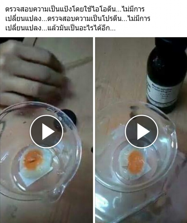 สรุปไข่ปลอมมีจริง !? แต่เป็น บุกไข่ (ไม่ใช่พลาสติก)