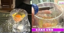 สุดทึ่ง!! ทดลอง “นำไข่ไก่มาตอกใส่พลาสติก” อบในอุณหภูมิพอดีจะได้ผลลัพธ์ที่อัศจรรย์??