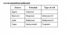 การจำแนกชนิดของสเต็มเซลล์