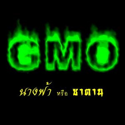 GMOs: ความจริง ความลวง และความสับสนในสังคมไทย(2)