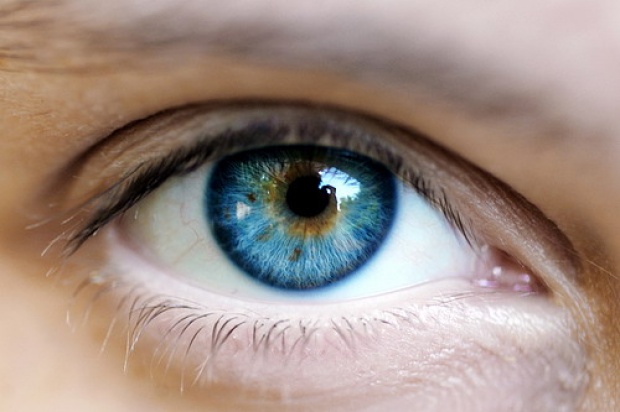 เดิมทีมนุษย์มีลูกตาสีน้ำตาลทั้งโลก ดีเอ็นเอกลายถึง ได้มีลูกตาสีน้ำเงิน