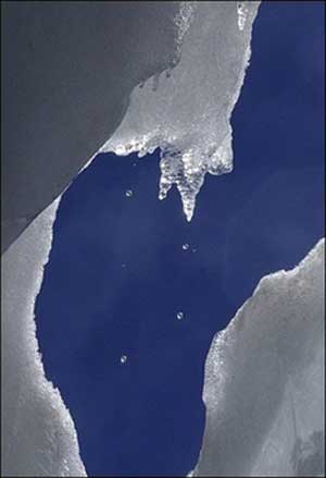 พื้นที่ ที่เป็นน้ำแข็ง และธารน้ำแข็งกำลังละลายหายไปเรื่อยๆ