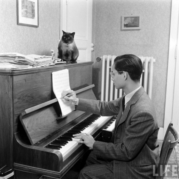 ภาพที่คนไทยคุ้นเคย..“คุณติโต”แมวของ“ในหลวง”ที่คอยเฝ้ายามทรงเปียโน ณ พระตำหนักโลซาน