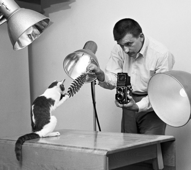 ชายผู้ทำให้ ‘การถ่ายภาพแมว’ กลายเป็นที่นิยมถึงปัจจุบัน