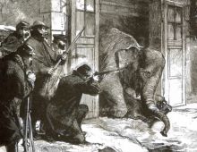 “ช้างบรรณาการ” จากรัชกาลที่ 4 จบชีวิตที่ร้านขายเนื้อกรุงปารีส!?