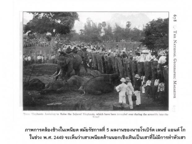 ภาพในอดีต เสาตะลุง เพนียดคล้องช้าง