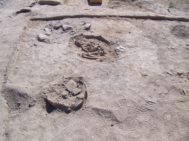 พบโครงกระดูกเด็กอายุร่วม 5,700 ปี และน่าจะเป็นชนชั้นสูง