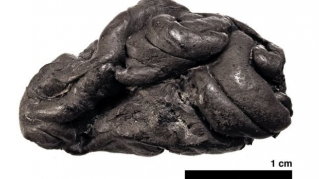 ดีเอ็นเอมนุษย์ในหมากฝรั่งหกพันปี เผยใบหน้า-ผิวพรรณสาวยุคหินตาสีฟ้า