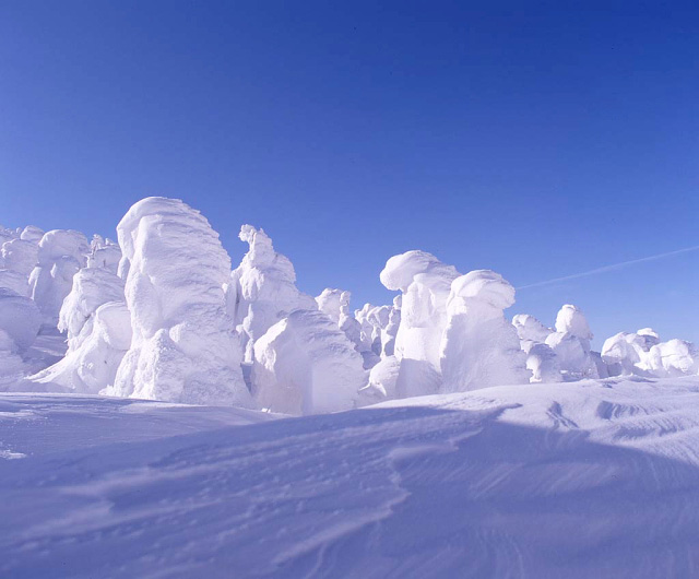 ทุ่งปิศาจน้ำแข็ง ‘Snow monsters’ of Japan เทือกเขาซาโอ้ 