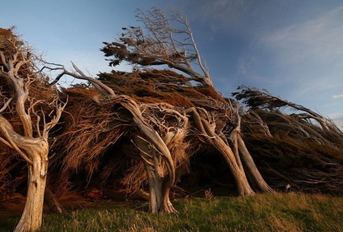 Slope Point, New Zealand