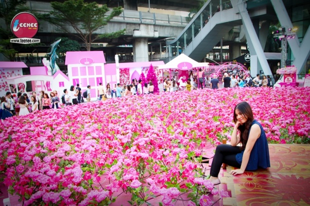 รวมแสงไฟสวยๆ ณ เซ็นทรัลเวิลด์   CentralWorld