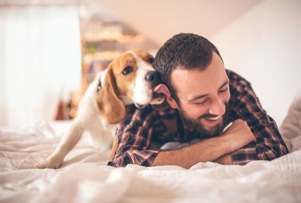 4 วิธีฝึกน้องหมาอย่างไรให้เชื่อฟัง