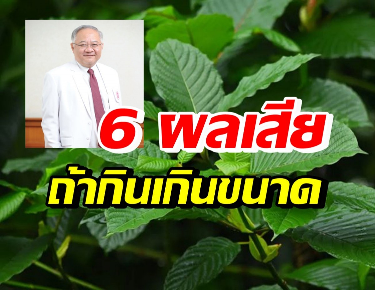 แพทย์เตือน 6 อันตราย หากกินใบกระท่อมเกินขนาด