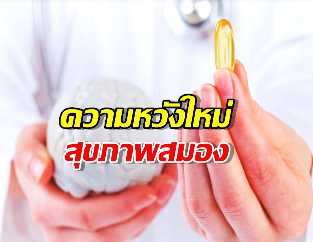 เจอแล้ว! อาหารสมองที่แท้ทรู! แค่กิน ที่ฝ่อไปก็กลับมาดีขึ้นได้!