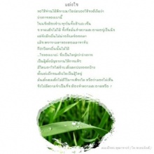 ...แต่งใจ...