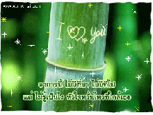 ว่าด้วย  รัก