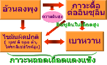 โรคเมตะบอลิก ซินโดรมคืออะไร?