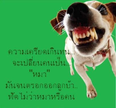 เครียดเกินไป...ระวังเป็นแบบนี้ 