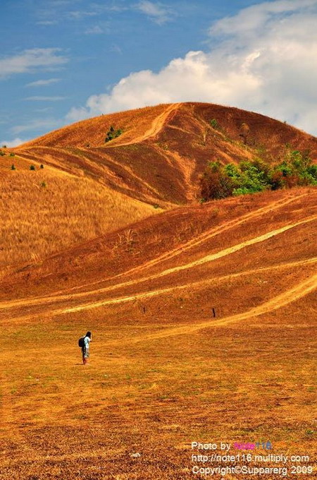 ภูเขาหญ้าหรือเขาหัวล้าน หรือเขาผี  