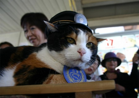 สถานีรถไฟแมว กิมมิคน่ารักกลยุทธ์การตลาดของญี่ปุ่น