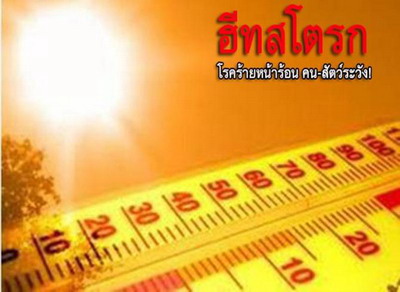 ฮีทสโตรกโรคร้ายช่วงหน้าร้อน คน-สัตว์ต้องระวัง 