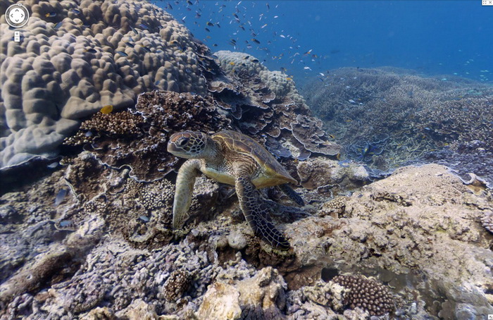 แนวปะการัง Great Barrier Reef