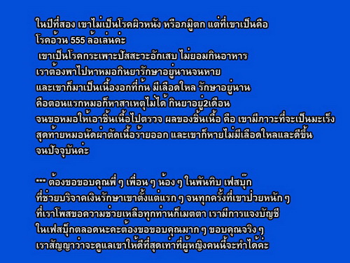 นี่คือไซบีเรียนที่ถูกทิ้งในวัด และเมื่อผ่านไป 2 ปี มันก็ได้เกิดใหม่อีกครั้ง!?!