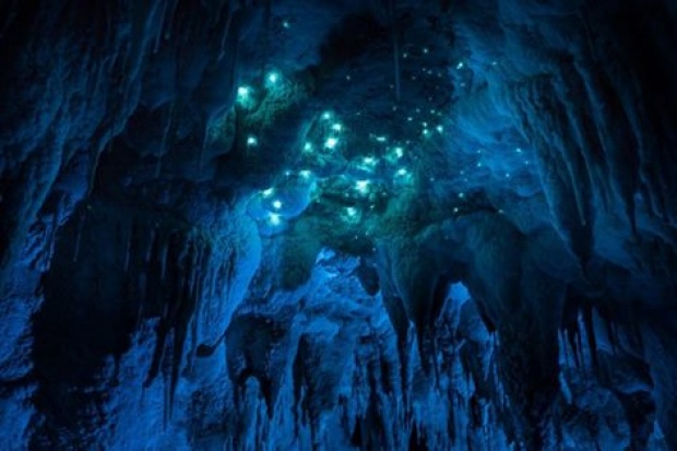 ความงดงามที่ซ่อนอยู่ภายในถ้ำ ประเทศนิวซีแลนด์