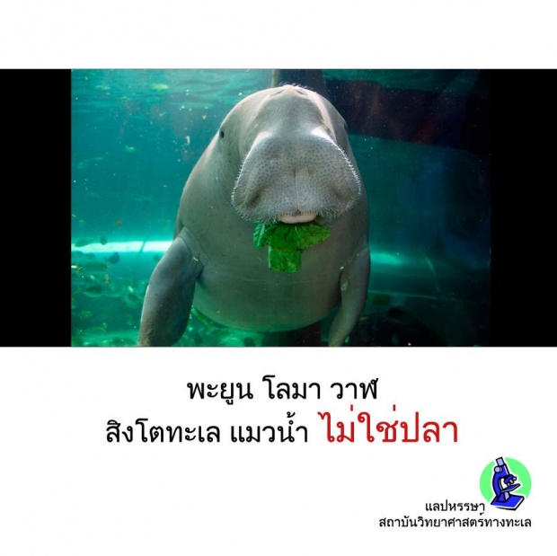 12 เรื่องจริงเกี่ยวกับสัตว์!! ที่คุณอาจยังไม่เคยรู้