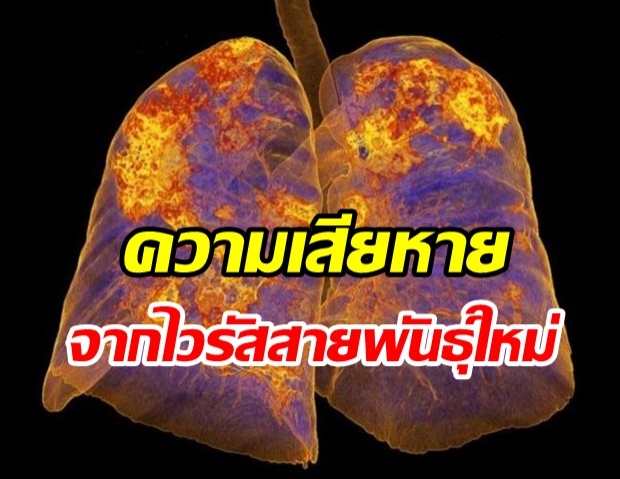  ไวรัสสายพันธุ์ใหม่นี้ สร้างความเสียหายต่อร่างกายเราได้อย่างไร