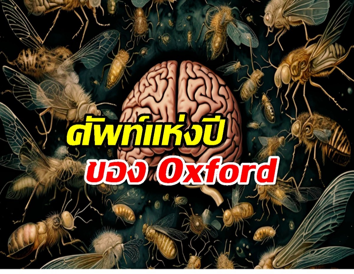 Oxford Dictionary เลือก สมองเน่า(Brain Rot) เป็นคำศัพท์แห่งปี 2024