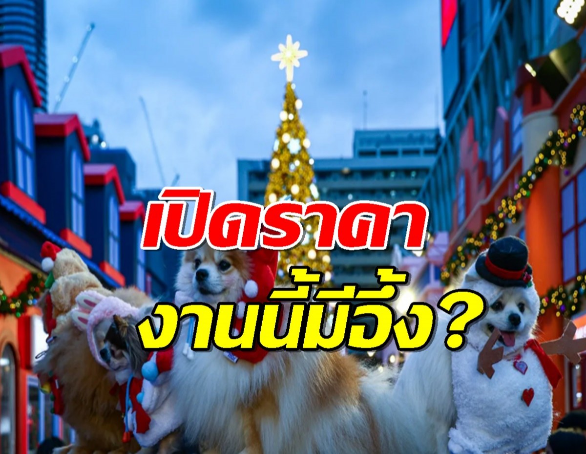 รู้หรือไม่? ต้นคริสมาส หน้าเซ็นทรัลเวิลด์ราคาเท่าไร งานนี้มีอึ้ง?