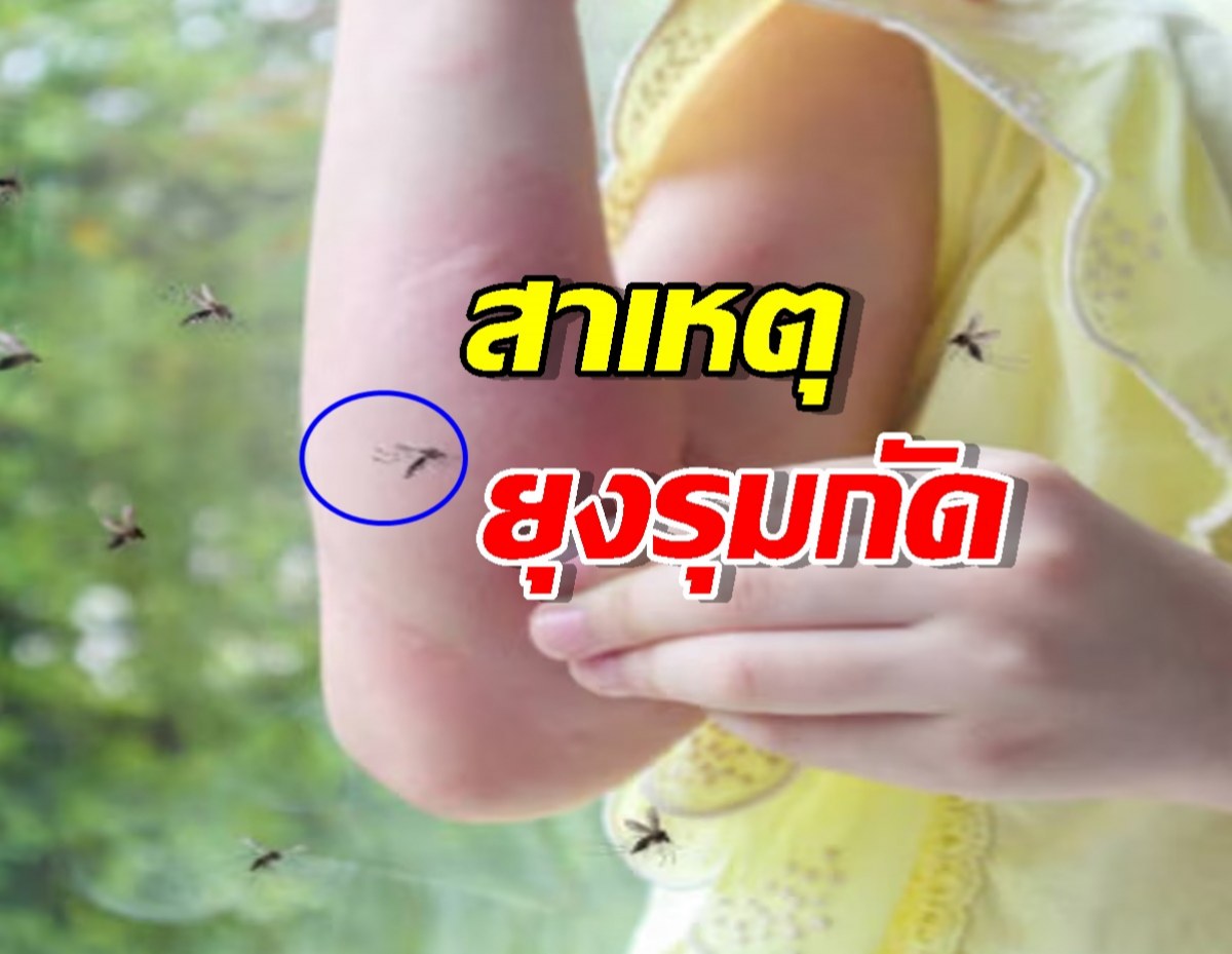 เฉลยสาเหตุ ทำไมยุงกัดบางคนมากกว่าคนอื่น