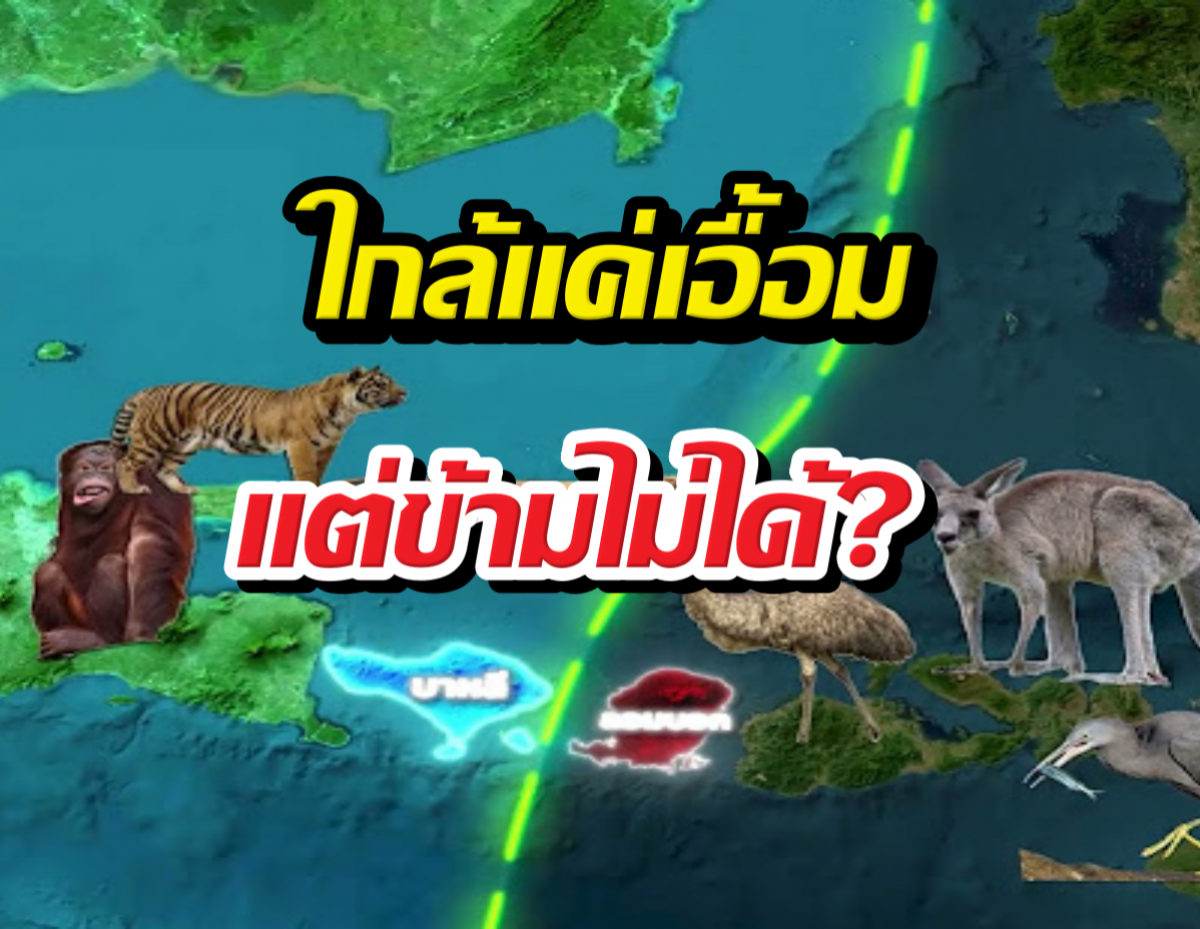 เส้นปริศนาที่สัตว์ 2 ฝั่งไม่กล้าข้าม แม้ห่างกันแค่เอื้อม?