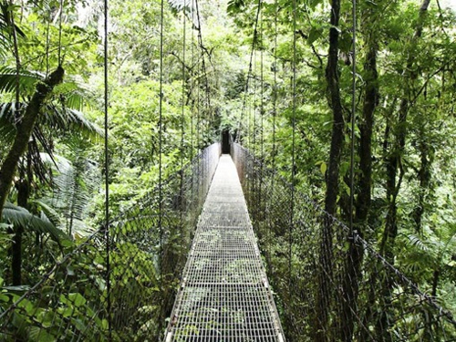 Arenal Hanging Bridges, Costa Rica