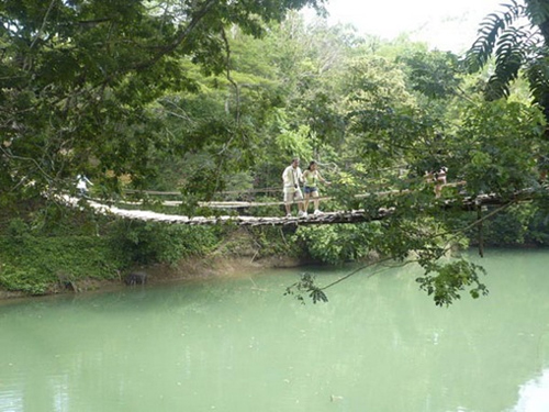 Hanging bridge in Bohol, Philippines