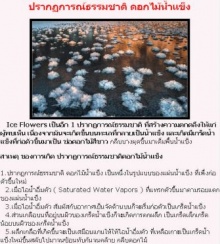 ปรากฏการณ์ธรรมชาติน่าตื่นตาของโลก