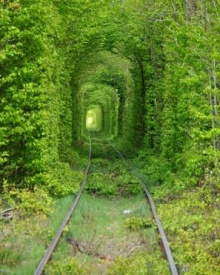 อุโมงค์แห่งความรัก อุโมงค์รถไฟที่โรแมนติกที่สุดในโลก