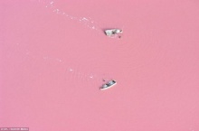 เมื่อทะเลสาบกลายเป็นสี นมเย็น ปรากฎการณ์ธรรมชาติแปลกๆที่ประเทศเซเนกัล
