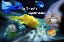 12 เรื่องจริงเกี่ยวกับสัตว์!! ที่คุณอาจยังไม่เคยรู้