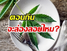 คำตอบจากผู้เชี่ยวชาญ “การกินใบกัญชา” จะทำให้เรา “ลอย” ได้จริงไหม!?