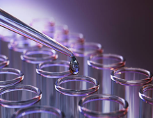 กลยุทธ์เลือกซัพพลายเออร์และสั่งซื้อตัวเร่งปฏิกิริยาเคมี