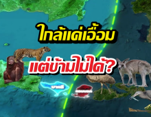 เส้นปริศนาที่สัตว์ 2 ฝั่งไม่กล้าข้าม แม้ห่างกันแค่เอื้อม?